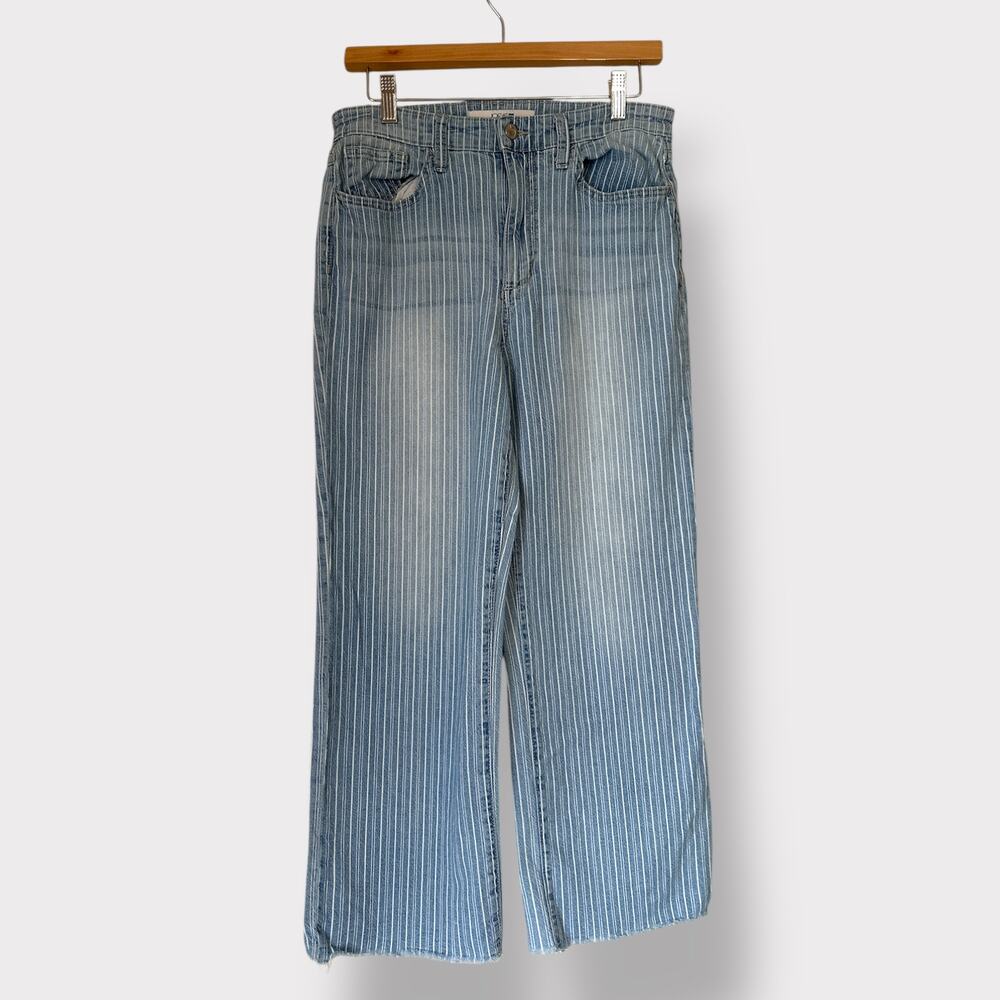 Joes Jeans pinstriped mom capri size 29